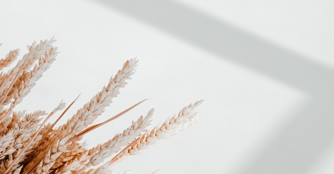 Mobile Massage Therapy