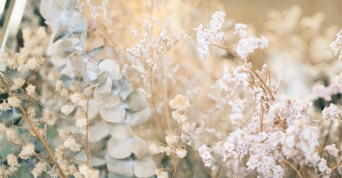 Clinic Massage Therapy